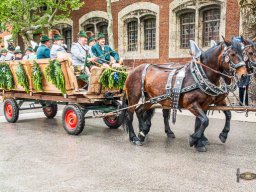 2025_05_25_festsonntag 098